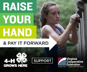raise your hand 4-H Raise Your Hand